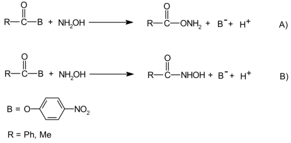 53. ábra Az O-acil és N-acil termék képződése a hidroxil-amin acilezése során 