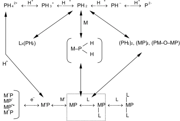 4. ábra. Porfirinek és metalloporfirinek koordinácós kémiai kölcsönhatásainak általános összefoglalása  Az egyértelműség kedvéért a jelölések: P – porfirin, M – fém, L – ligandum,  