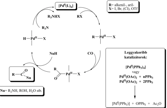 16. ábra A homogénkatalitikus karbonilezés mechanizmusa  1.2.2. A karbonilezés során leggyakrabban alkalmazott katalizátorok  1.2.2.1