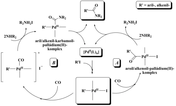 19. ábra Az aminok jelenlétében lejátszódó karbonilezés feltételezett mechanizmusai 