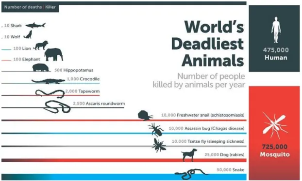 Figure 3. ‘The deadliest animal in the World’. (Infographics of Bill Gates, posted in April 25,  2014; Gates, 2014)