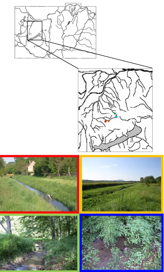 5. ábra Mintavételi helyek a Torna-patakon. Piros: Devecser, módosított; Narancs: Kolontár,  módosított; Zöld: Csehbánya1; Kék: Csehbánya2