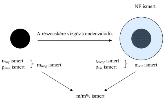 2.1. ábra  A tömegszázalék számítása a növekedési faktorból  2.3 MÉRÉSI MÓDSZEREK 