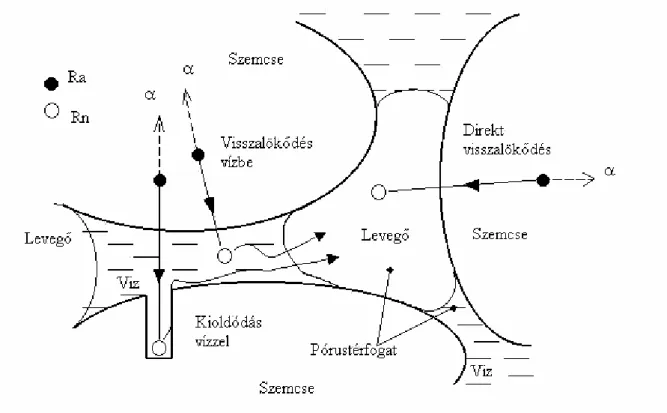 3. ábra. A radon szemcséből való kijutásának folyamatai Tanner szerint (Balogh K et  al 1994 nyomán) 