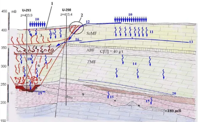 8. ábra A felszín alatti vizek áramlási lehetőségei a Nyugati 1 bányamező területén (Szabó Z