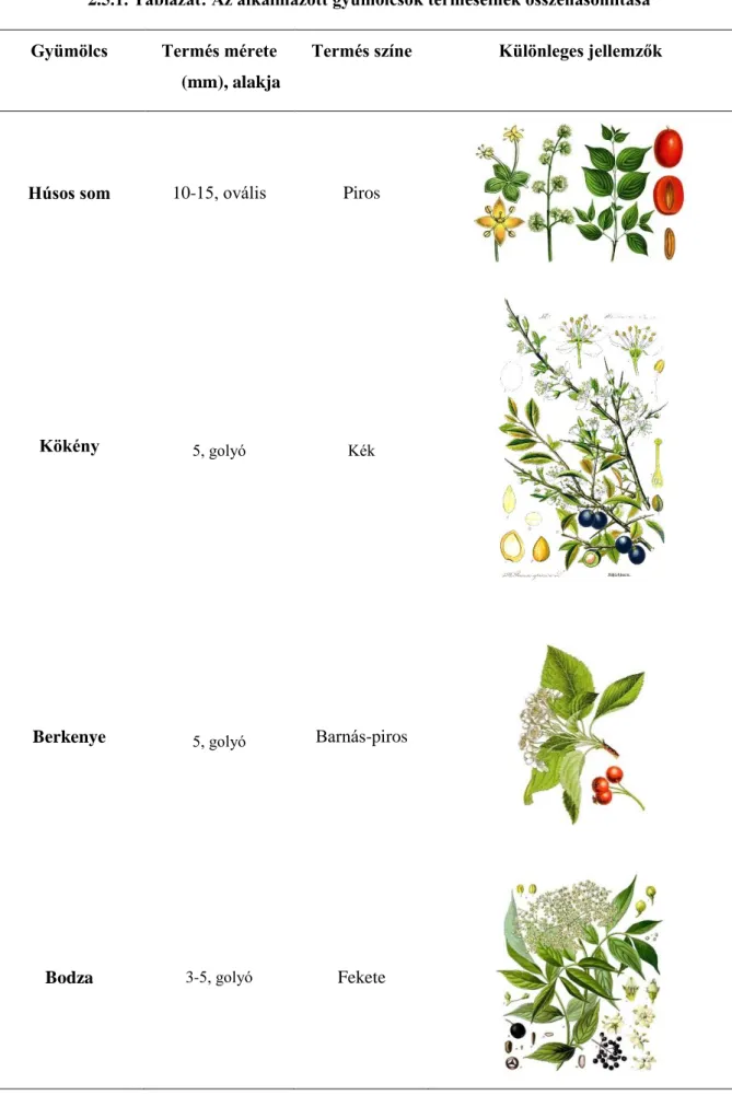 2.5.1. Táblázat: Az alkalmazott gyümölcsök terméseinek összehasonlítása  Gyümölcs  Termés mérete 