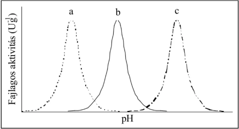 6. ábra: Rögzített enzimek pH-optimumának eltolódása a hordozó töltésének függvényében  (a: savas karakterő hordozó; b: semleges karakterő hordozó; c: lúgos karakterő hordozó) 