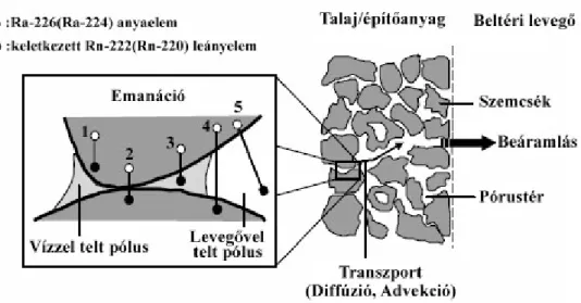 7. ábra. A radon pórustérbe jutásának lehetséges módjai  