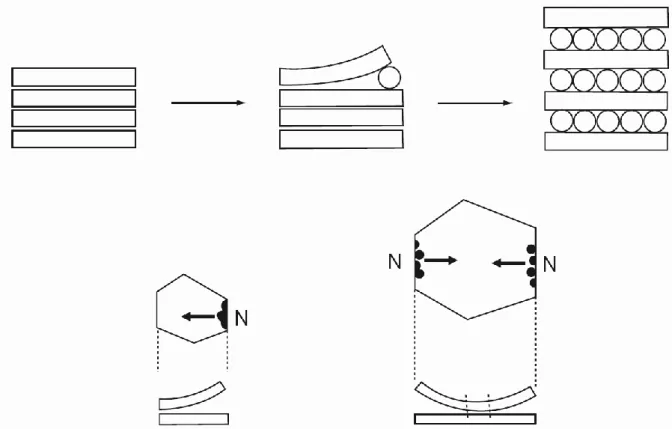 15. ábra Az  interkaláció mechanizmusa (N - a nukleációs oldalakat, a nyilak pedig a mozgó  reakciófrontot jelölik) [3] 