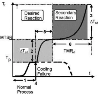 Figure 2.3 Runaway scenario, where numbers represent the six key questions [32] 