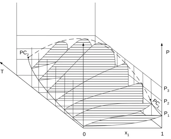 Fig. 1.17. Schematic 3D plot of the phase behavior of binary type I mixture. 