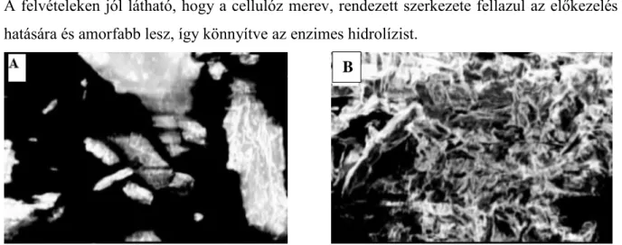 10. ábra: A: mikrokristályos cellulóz elektonmikroszkópos felvétele; B: mikrokristályos  cellulóz elektonmikroszkópos felvétele ionos folyadékos előkezelés után (Saher, 2018) 