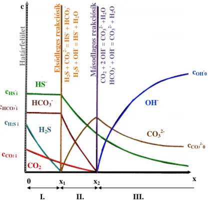 25. ábra: Szén-dioxid és kén-hidrogén szimultán abszorpciójának koncentráció profilja a nátrium- nátrium-hidroxid oldat fázisában [103]
