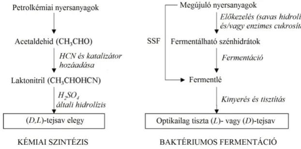 1. ábra: A tejsav kőölajból illetve megújuló nyersnyagokból történő előállításának lépései [Wee,  2006]