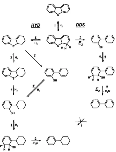 2.6.2. ábra A dibenzotiofén kéntelenítés reakcióútjai [116] 