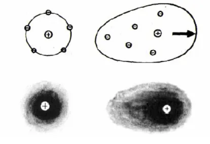 A relaxációs effektust (2. ábra) az okozza, hogy a mozgó ion körül az eredetileg  szimmetrikus  ionatmoszféra  deformálódik,  és  az  ellenkező  töltésű  ionok  fékezik  a  központi ion mozgását (Bockris, 1998)