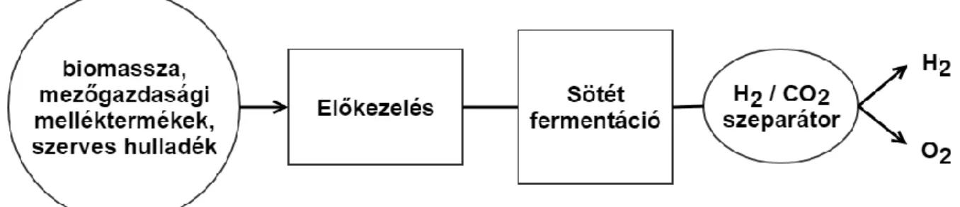 1.8. ábra: A sötét fermentációs hidrogén előállítás sémája (Nikolaidis és társai, 2017; 