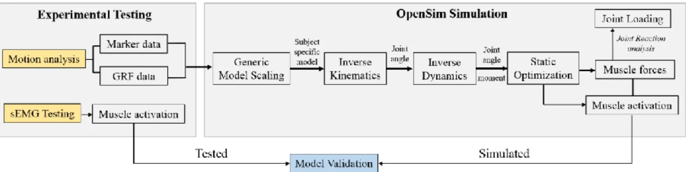 Figure 10 Data processing flow chart, from experimental testing to OpenSim simulation