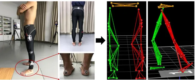 Figure 17 Three dimensional motion capture for the lower extremities. 