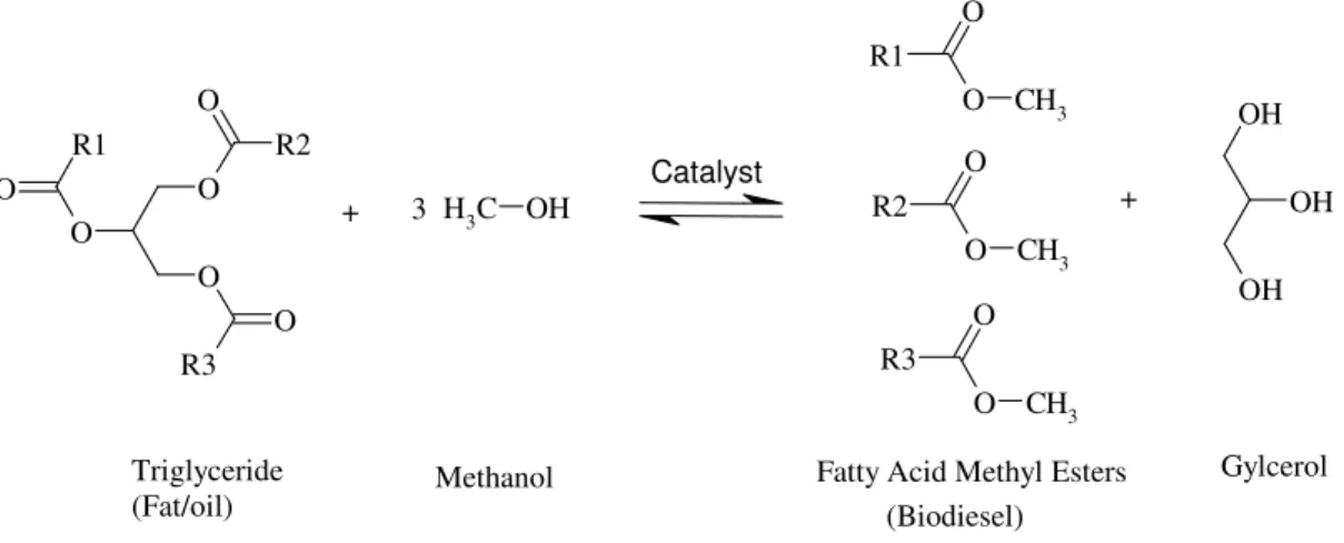 Figure 1.1 Ideal reaction scheme of transesterification of triglycerides to form biodiesel 