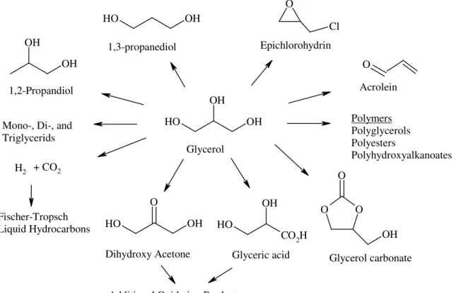 Figure 1.2.1 Platform chemicals derived from glycerol (Kenar, 2007) 