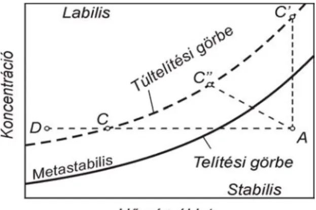 1.1. ábra. Az oldat telítési és túltelítési állapotának ábrázolása . 