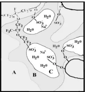 4.2.3. ábra: A Nafion membrán ionvezető képességének elvi sémája  