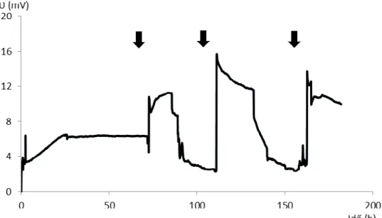 5.1.2. ábra: Glükóz tápoldat hatása a kezdeti mikrobiális rendszerre mikrobakonzorcium  esetén (240 cm 3  cella) 
