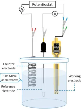 Figure 2. Schematic drawing of three compartment electrochemical cell used in EIS measurements, platinum wire as  counter, Ag/AgCl as reference and one recording site of our cortical microarray as working electrode respectively
