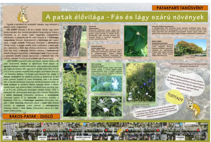 4. ábra. A Patakparti Tanösvény „A patak élővilága – Fás és lágy szárú növények” állomásának tablója