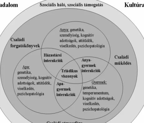2/6. ábra. Modell a családkutatásokban vizsgálandó témakörök összefüggéseirõl (D ANIS –K ALMÁR 2011)