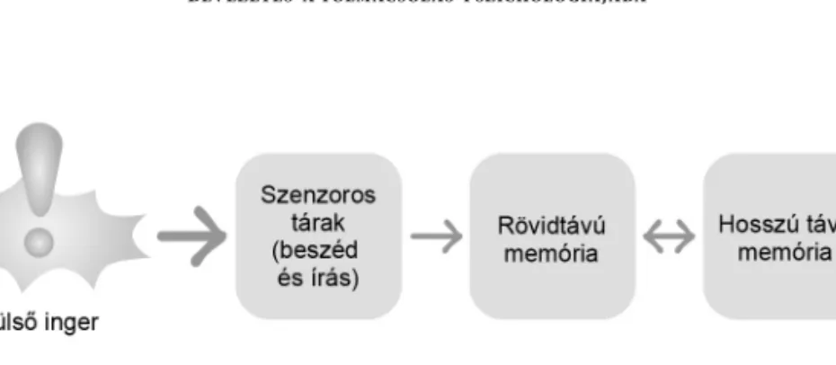 8. ábra: Atkinson és Shiffrin háromtáras memóriamodellje (Field 2003: 19 alapján)