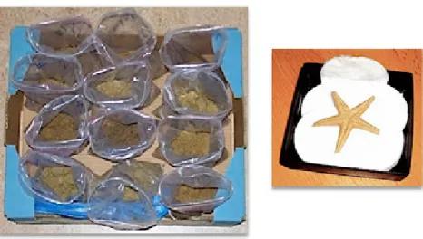 1.9. kép. Terepi minták praktikus elhelyezése: porló kőzet (balra), sérülékeny minta (jobbra) (fotók: Makádi M.