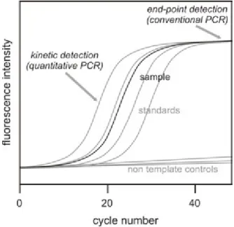 Fig. 13. Real-time PCR-based bacterial cell counting. Kinetic detection or the product quantity at realtime PCR gives a similar curve to bacterial growth