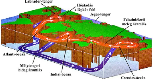 1.5. ábra. A termohalin cirkuláció mélytengeri és felszínközeli áramai (Schieber, 2013 nyomán)