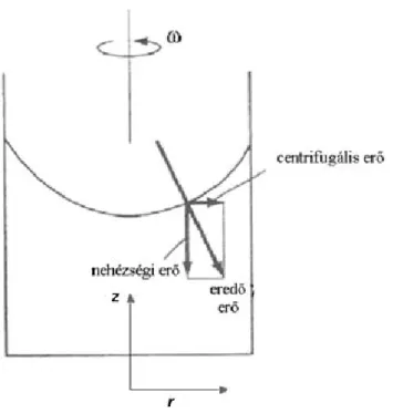 I.2.2. ábra. Az szögsebességgel forgó hengerben levő folyadék felszíne, amit a nehézségi és a centrifugális erő alakít.