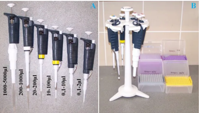 Figure 1.7. A, Micropipettes for different volume ranges. B, Pipettes hanging on a rotating pipette  stand, and different tips in racks