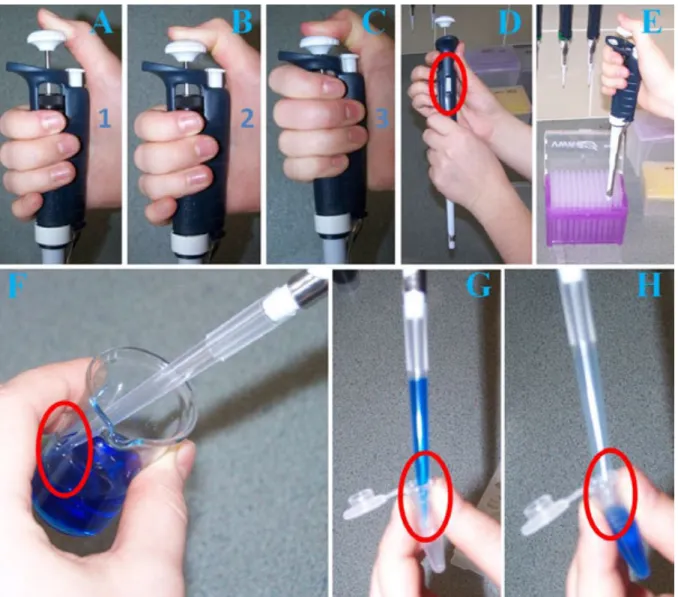 Figure 1.9. A-C, Three positions of the button of the pipette. D-H, Liquid handling with pipettes