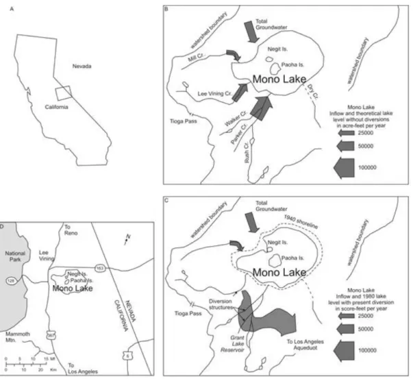 2.10. ábra: A Mono-tó földrajzi elhelyezkedése, a tó hidrológiai állapotváltozása a vízelvezetés következtében (Fetter, 1994 után módosítva )