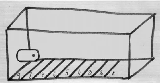 Figure II.1: Test tank for fish fry. The small tank is 20 cm long, 5 cm tall and 5 cm wide