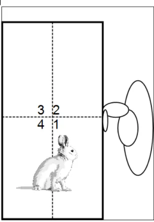 Figure VI.1 Schema of the open field arena to be used. The experimenter puts his palm at the middle of the cage’s wall
