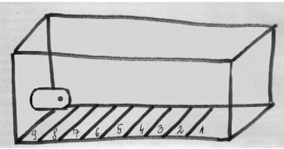 2.1. ábra: Tesztmedence halivadékok számára. A medence 20 cm hosszú, 5 cm magas és 5 cm széles