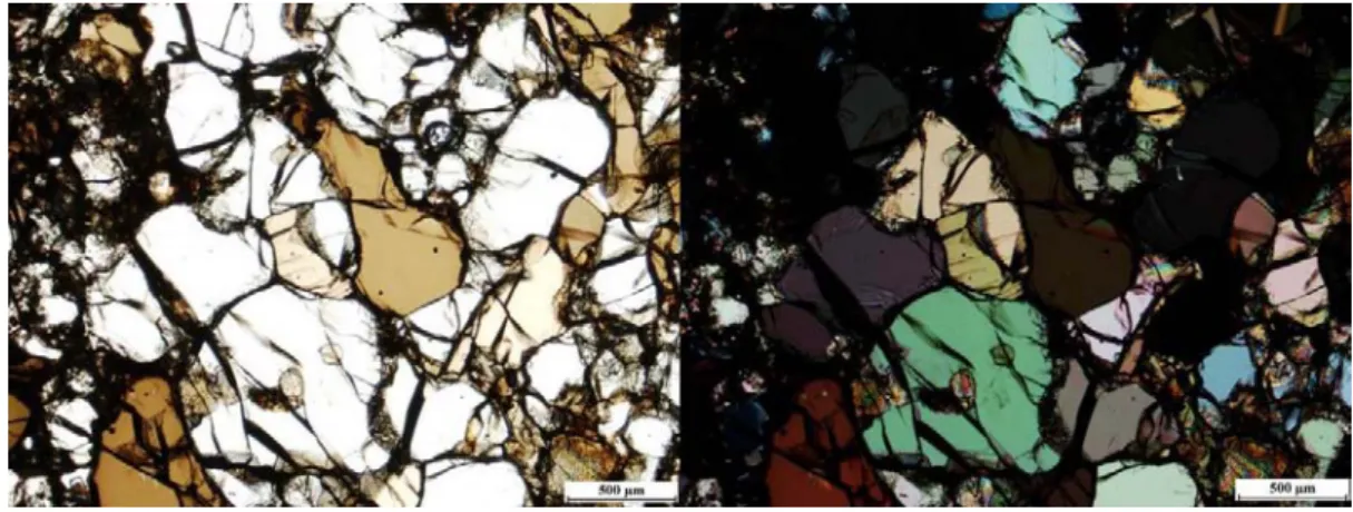 Figure II.16. – Typical microscopic photos of hypidiomorhic granular hornblende clinopyroxenite (Nádas/Trestia, Transylvania, Romania)