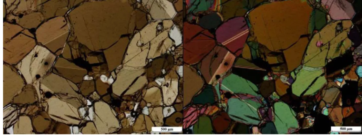 Figure II.18. – Microscopic photos of hornblendite xenolite (Nádas/Trestia, Transylvania, Romania)