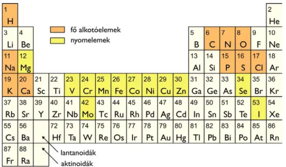 Mint említettük, az élőlények kémiai összetétele rendkívül hasonló, a 1.1. ábra bemutatott fő elemekből épülnek fel.