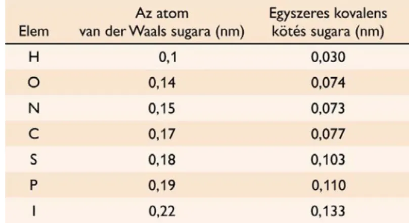 2.1. táblázat: Biogén elemek van der Waals sugara és az egyszeres kovalens kötés sugara