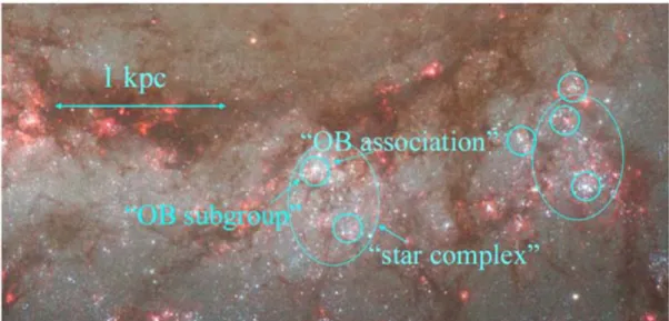 2.16. ábra: OB asszociációk kiloparsec méretű komplexekben az M51 galaxis egyik spirálkarjában (Credit: