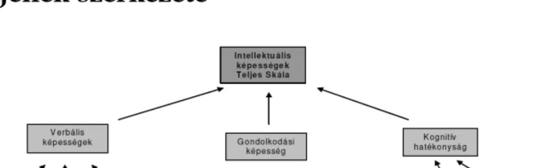 1. ábra A WJNK Kogn. szerkezete (R UEF ET AL . 2003: 1)