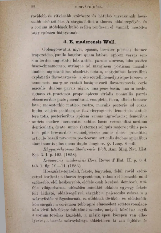 tab.  1.  fig.  10— 11.  (1883).