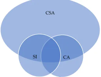 Figure 2. Relationship of the CSA, SI, and CA. 